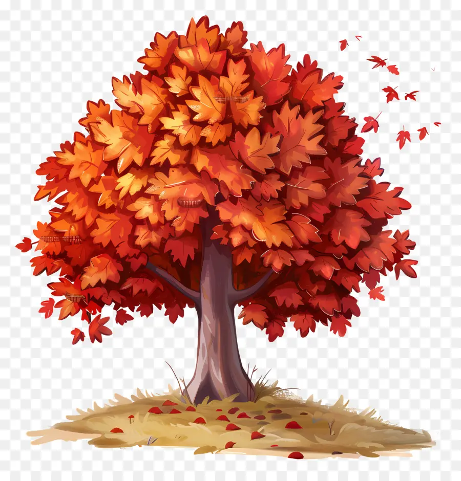albero di acero - Albero autunnale tranquillo con foglie vibranti