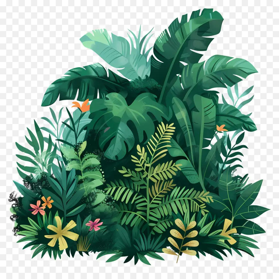 cây cọ - Rừng nhiệt đới với thực vật, cây cối, động vật