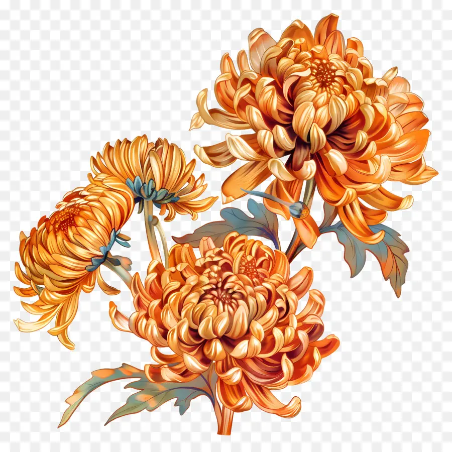 Chrysanthemum arancione crisantemi arancione dipingendo dettagli realistici - Pittura realistica di tre crisantemi arancioni