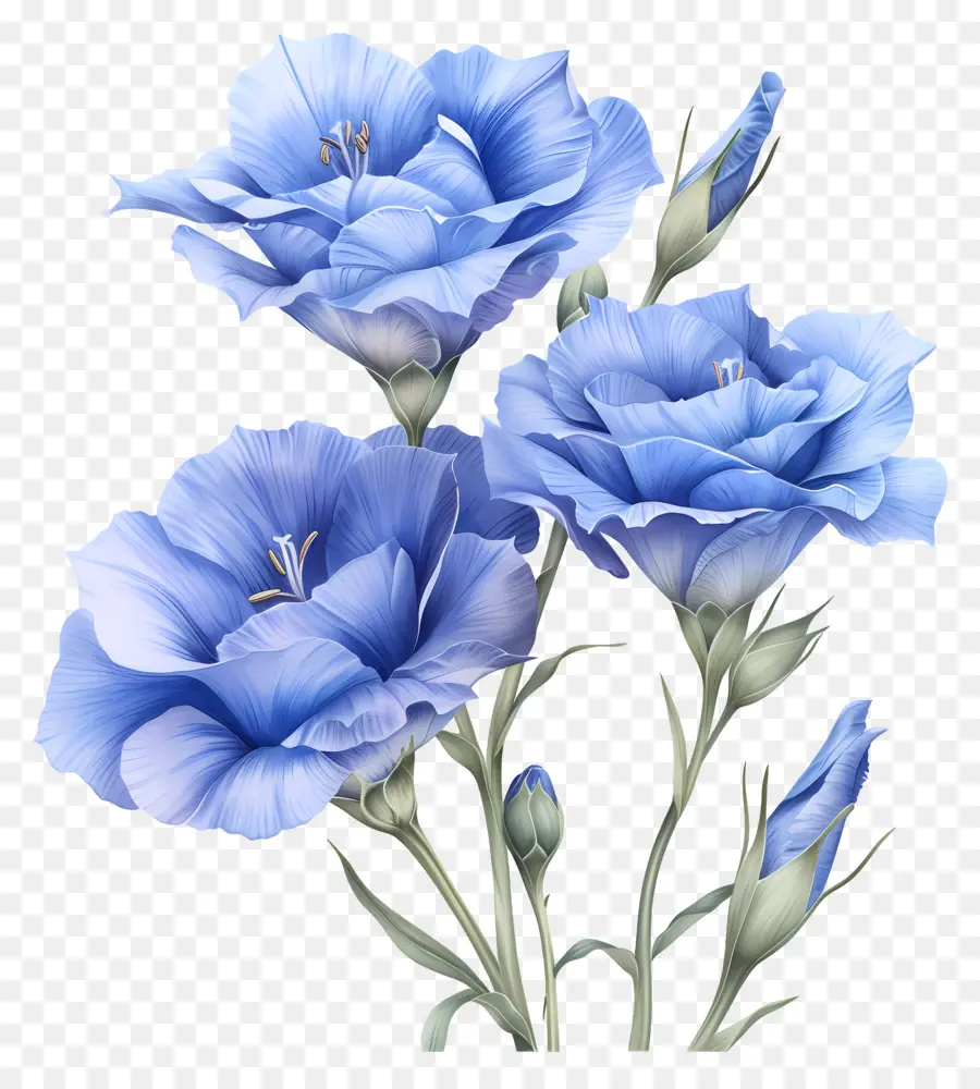 Blue Lisianthus hoa hoa màu xanh Bouquet Cánh hoa sắp xếp vòng tròn - Hoa màu xanh trong vòng tròn trên nền đen