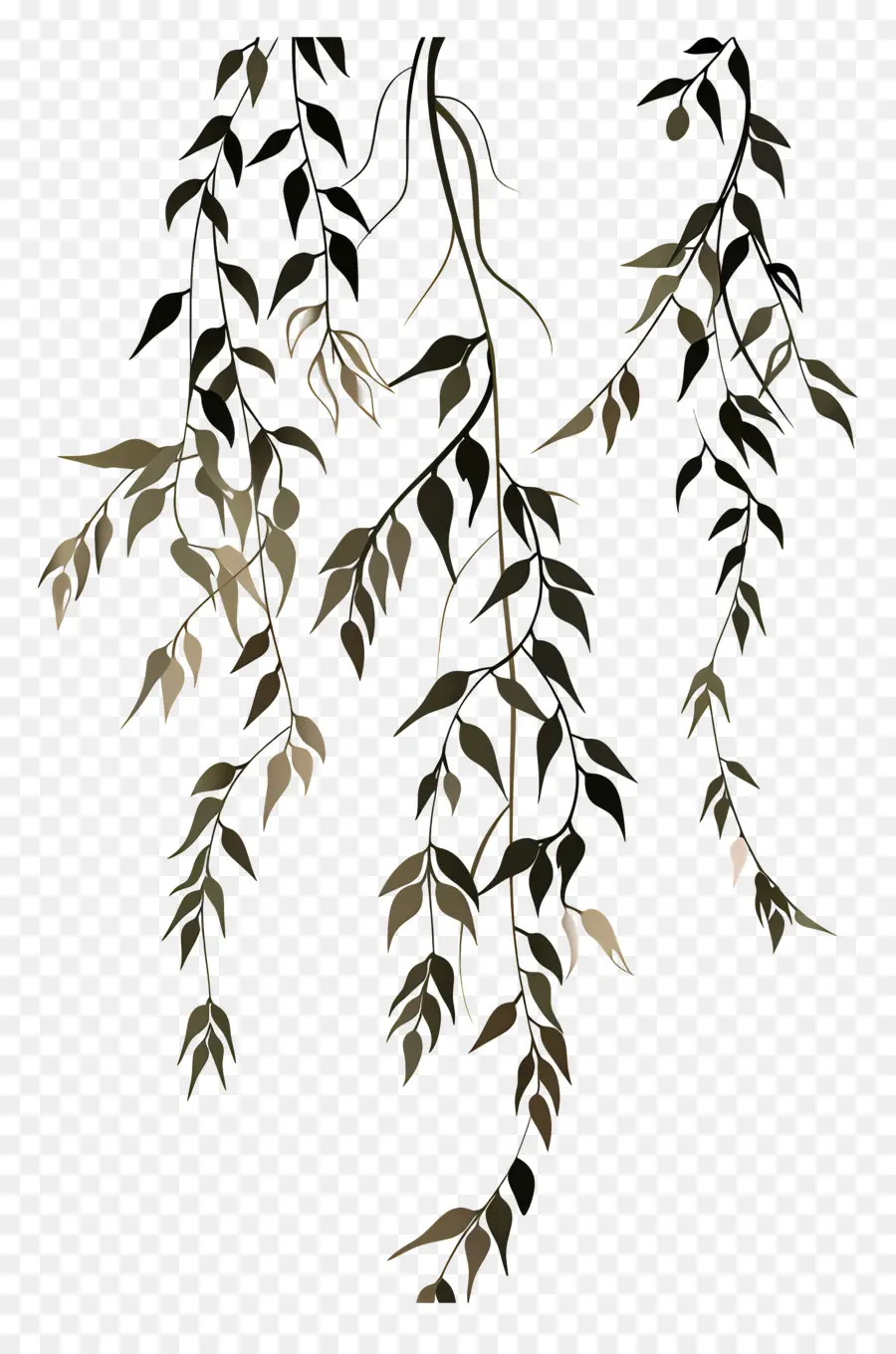 hanging willow leaves willow tree swaying branches brown leaves light brown trunk