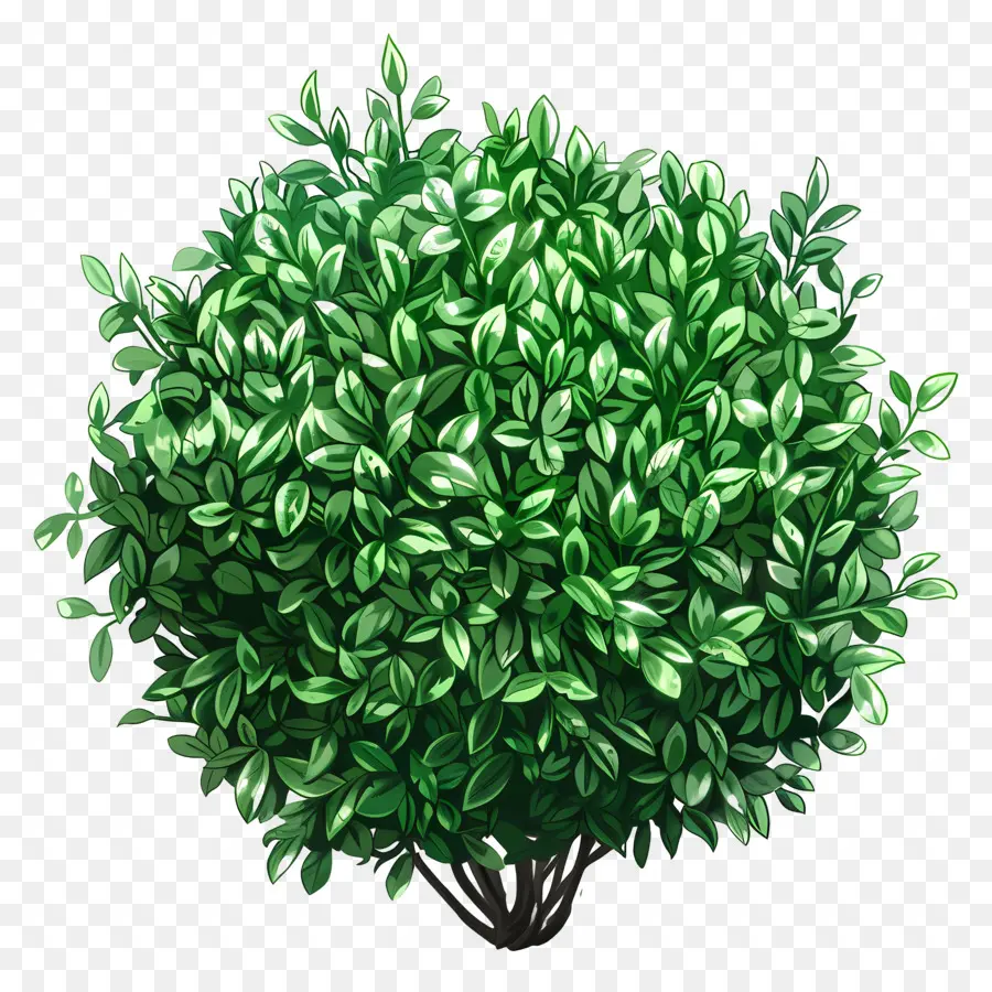 Strauchbaumgrüne Blätter Äste Textur - Einfacher grüner Baum mit Grundstruktur