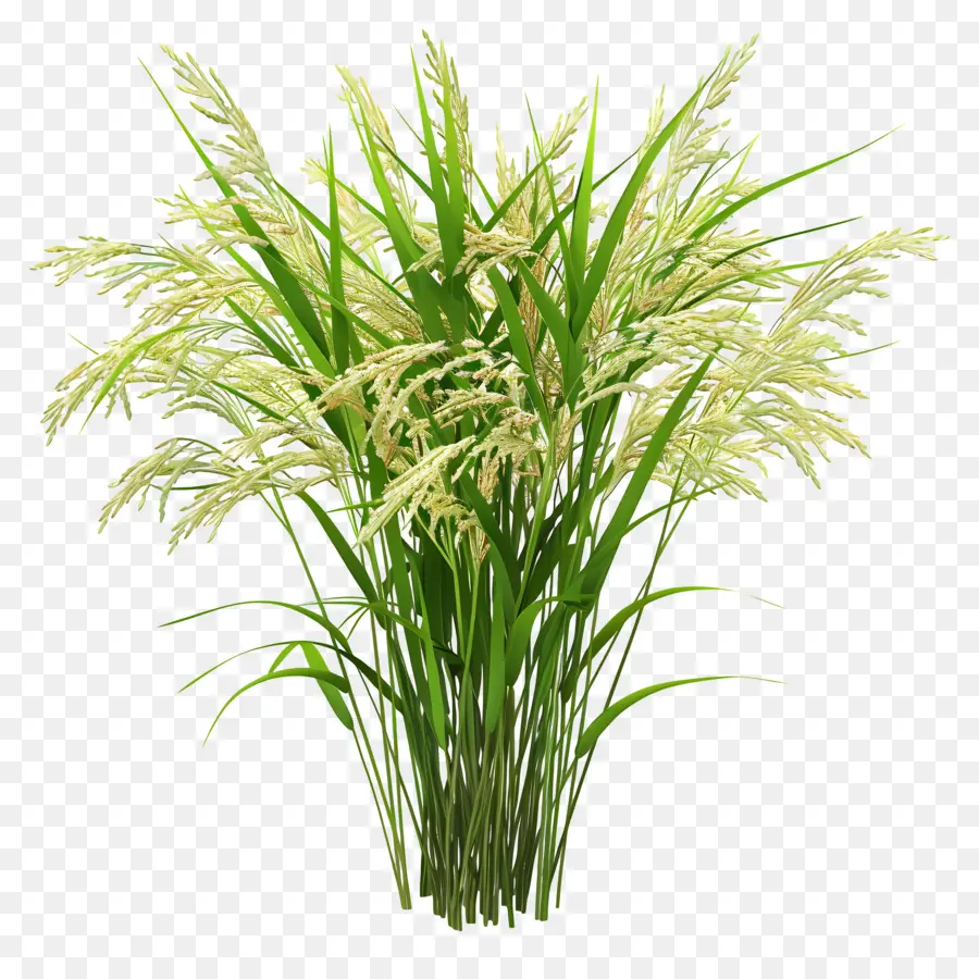 rice plant vase plants grass metal