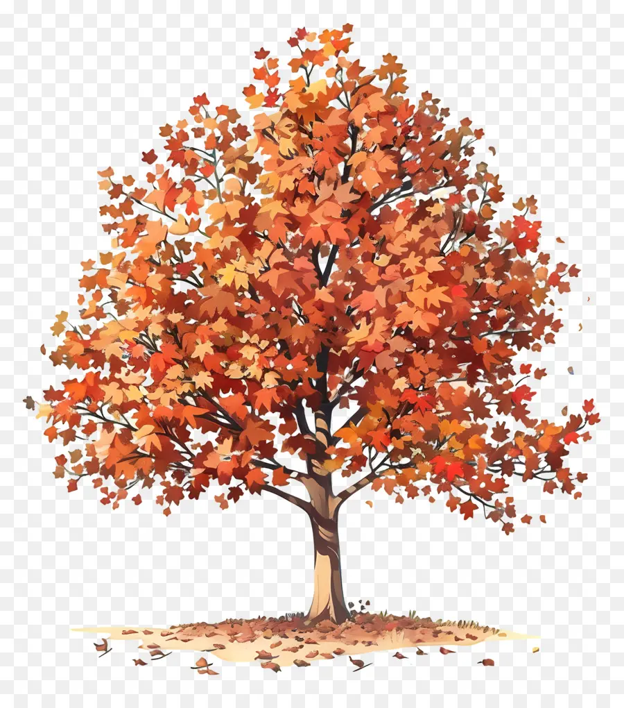 albero di acero - Autumn Tree che perde le foglie di vento