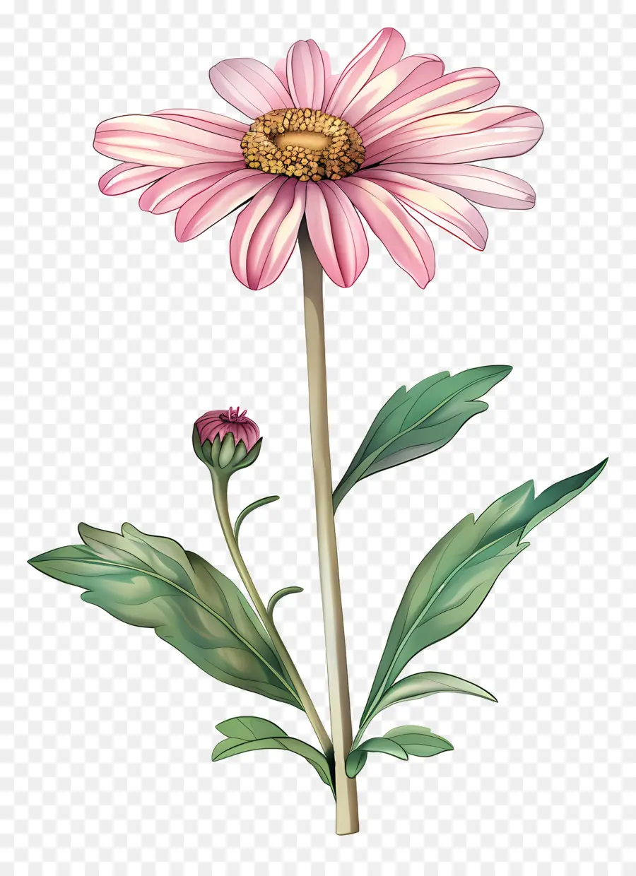 fiore rosa - Semplice schizzo a matita di un fiore rosa