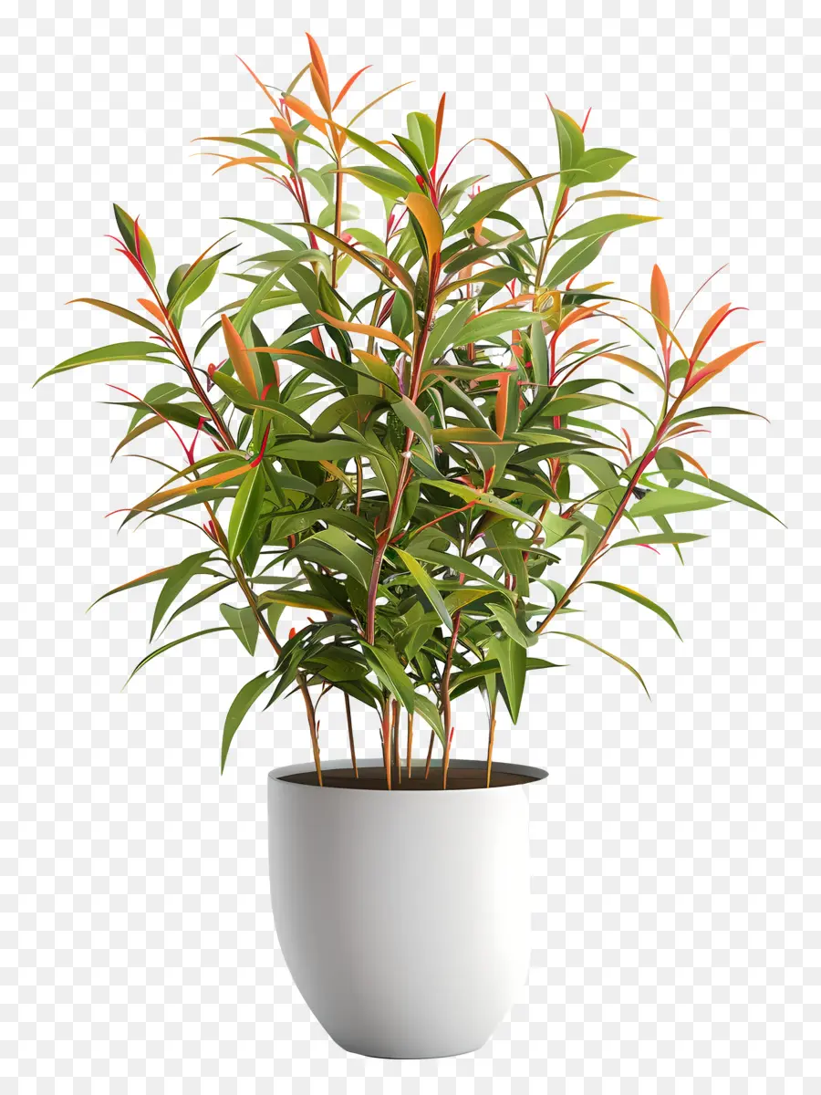 Nandina domestica weiße Vase Rot und grüne Pflanzen Blumenarrangement Home Dekoration - Weiße Vase mit roten/grünen Pflanzen auf der schwarzen Oberfläche