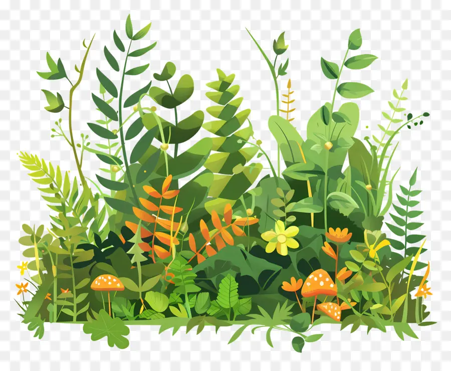 vegetazione copertura di erba piante vegetazione - Diverse piante in campo erboso, niente animali