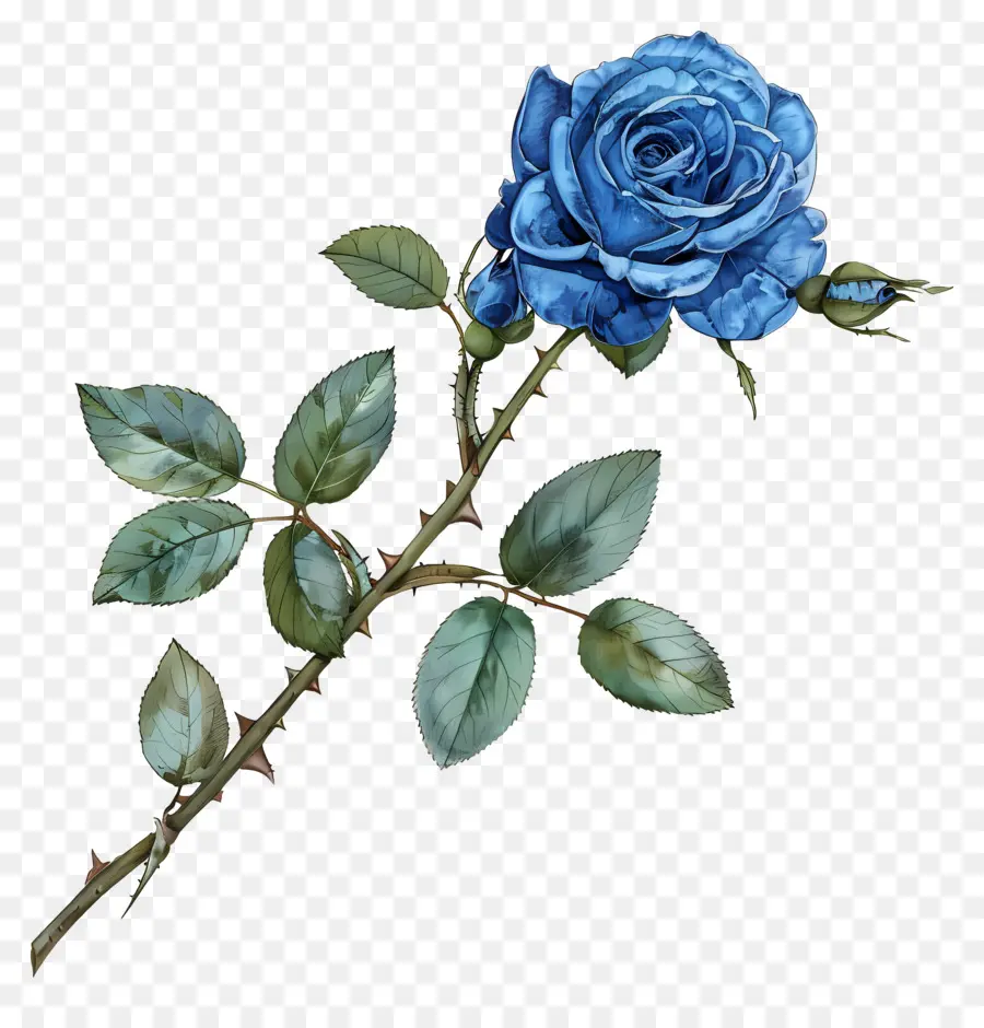Blue Rose - Blaue Rose mit grünen Blättern und Knospen