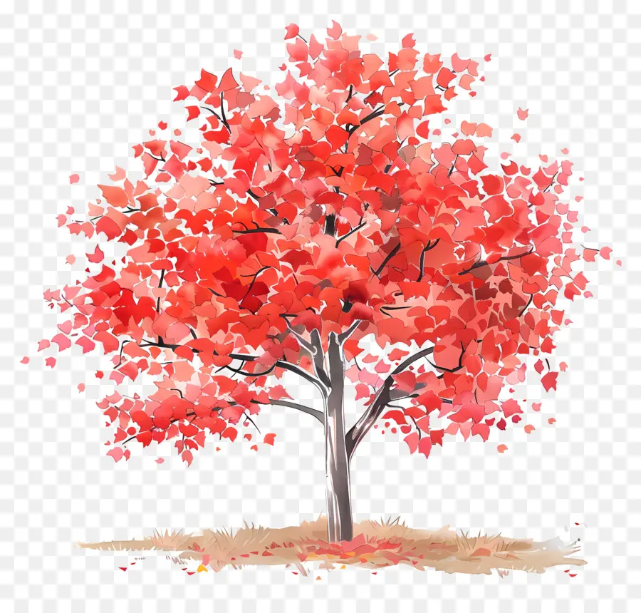 Ahorn Baum - Roter Baum im Herbst mit Blumen