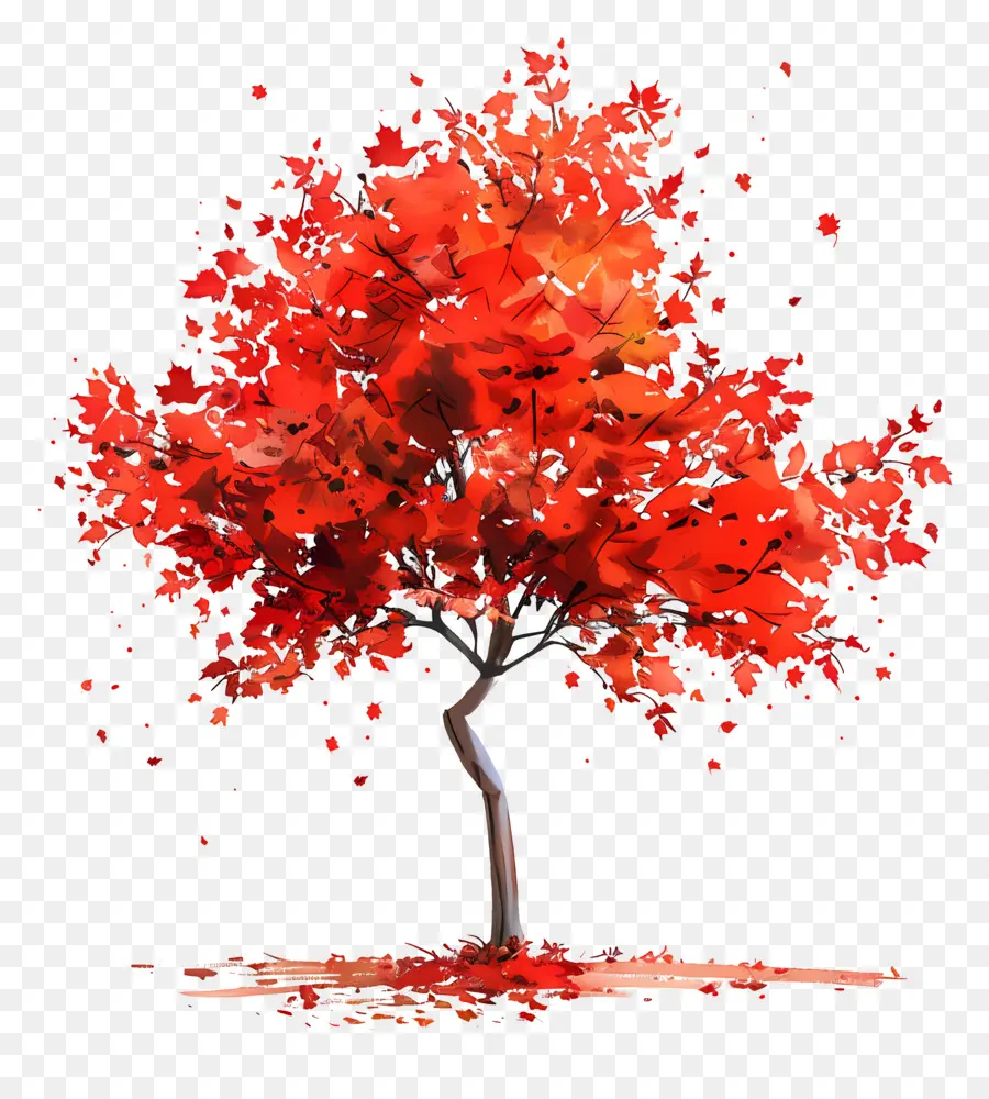 cây phong - Lá đỏ rơi xuống từ cây đơn độc