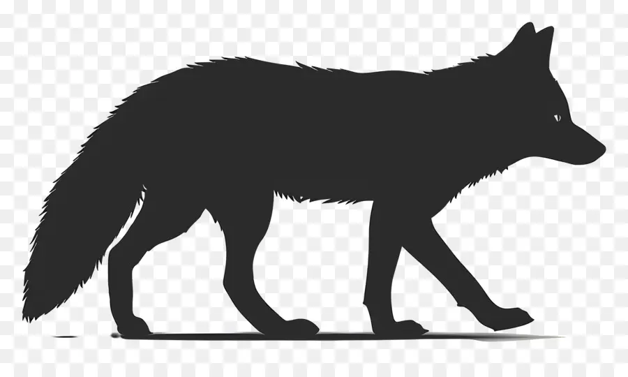 Arctic Fox Silhouette Wolf Silhouette Canine Predator Animal Movement Wildlife - Silhouette di lupo da passeggio in bianco e nero
