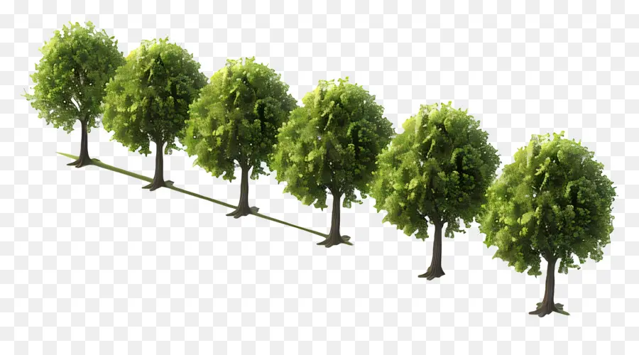 Bäume Bäume grüne Natur im Freien - Fünf Reihen von drei grünen Bäumen. 
Schwarzer Hintergrund