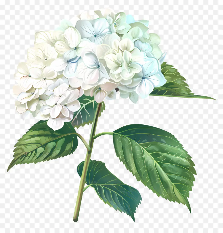 fiore bianco - Immagine dettagliata del fiore bianco con foglie
