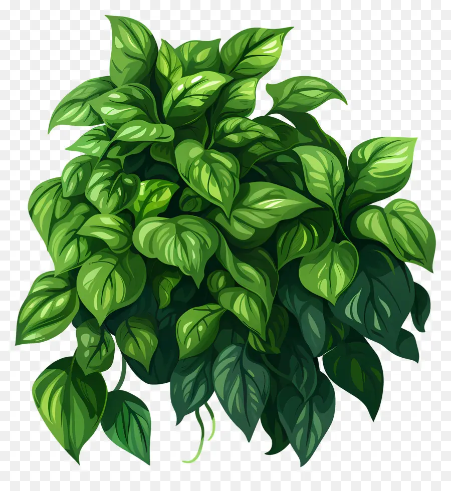 üppig grüne Pflanze grüne Blätter stamm schwarzen Hintergrund - Grüne Pflanze mit Blättern auf schwarzem Hintergrund