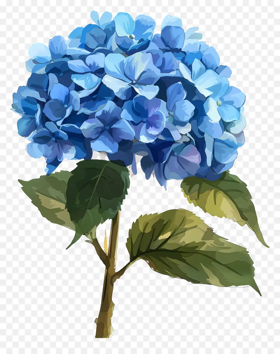 fiore blu - Fiore blu con gocce d'acqua, foglie verdi
