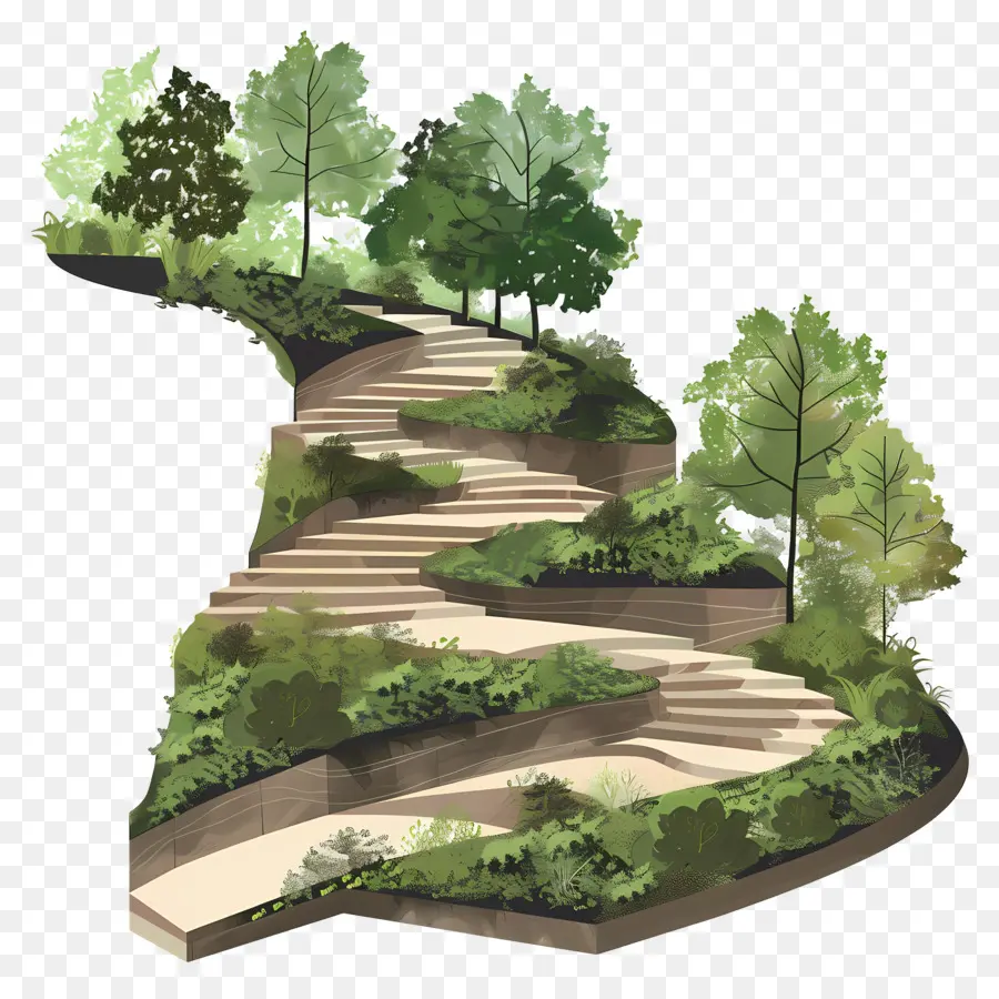 Terrassen Naturtreppe Bäume Hügel - Treppe mit umliegenden Bäumen und Sträuchern