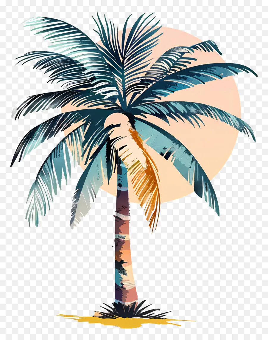 albero di cocco - Palm albero silhouetted dalla luna luminosa