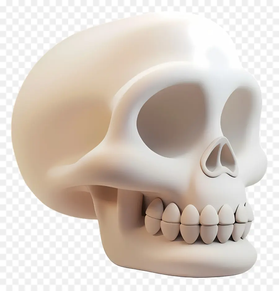 Cartoon Skull Side View Human Skull Anatomy Medical Illustration Jaw - Skull umano bianco con mascella aperta