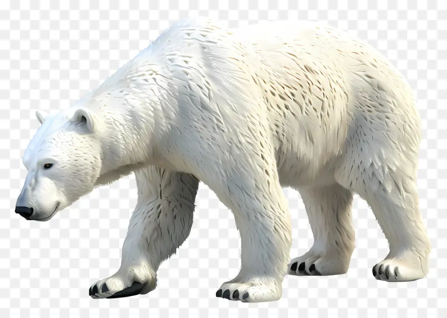 Eisbären Seitenansicht Polar Bear Arctic Wildlife stehend - Eisbär, der auf Hinterbeinen steht