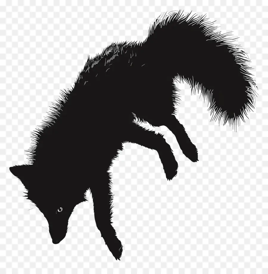 arctic fox silhouette black cat flying legs stretched fur