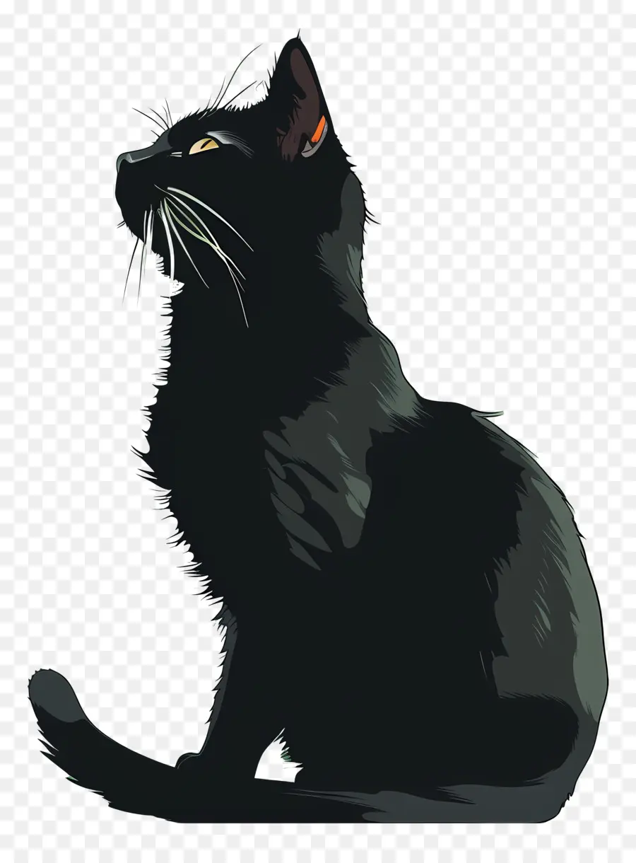 schwarze Katze schwarze Katze glänzende Fell orangefarbene Augen hockte Position - Schwarze Katze kauerte, Augen geschlossen, glänzendes Fell