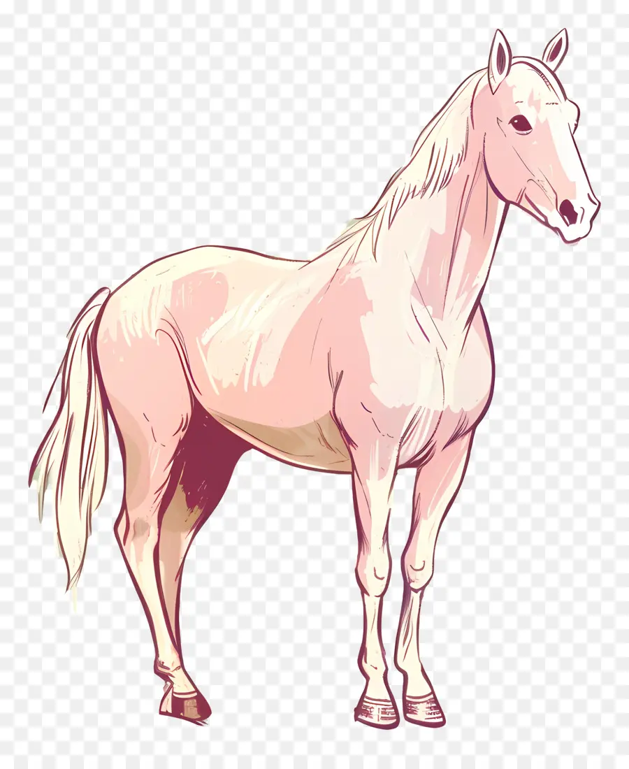 Nostrile Mane da briglia a cavallo bianco a cavallo - Cavallo bianco in briglie, posa pacifica