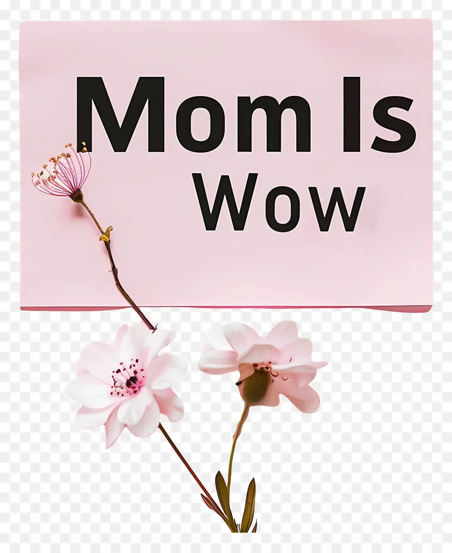 La festa della mamma - Fiore rosa bianco con 'La mamma è wow