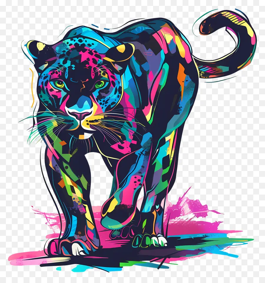 Panther Black Jaguar Colori di pelliccia unica un animale esotico predatore feroce - Jaguar nero colorato sul marciapiede bagnato