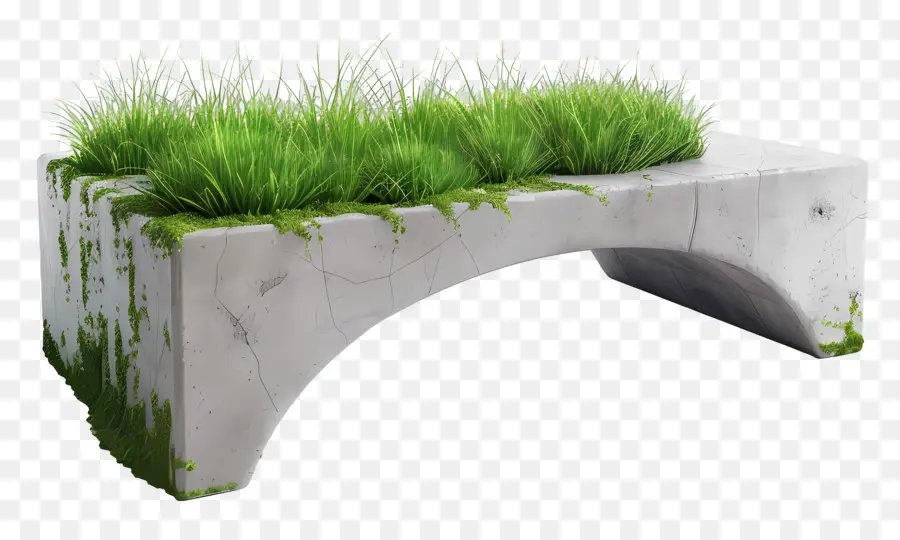 ponte in cemento ponte in cemento verde erba superficie liscia sfondo nero - Ponte in cemento coperto di erba con superficie liscia