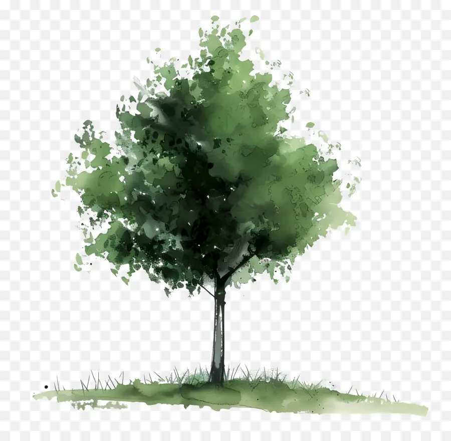 grüner Baum - Üppiger grüner Baum mit schwarzem Kofferraum