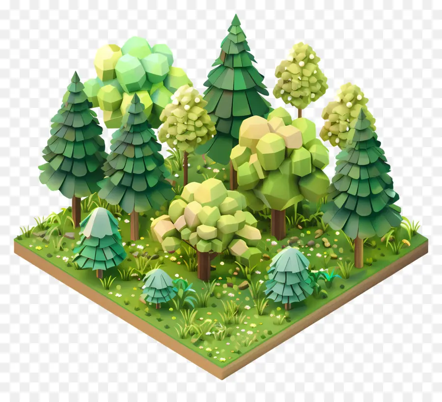 isometric forest forest nature trees sunlight