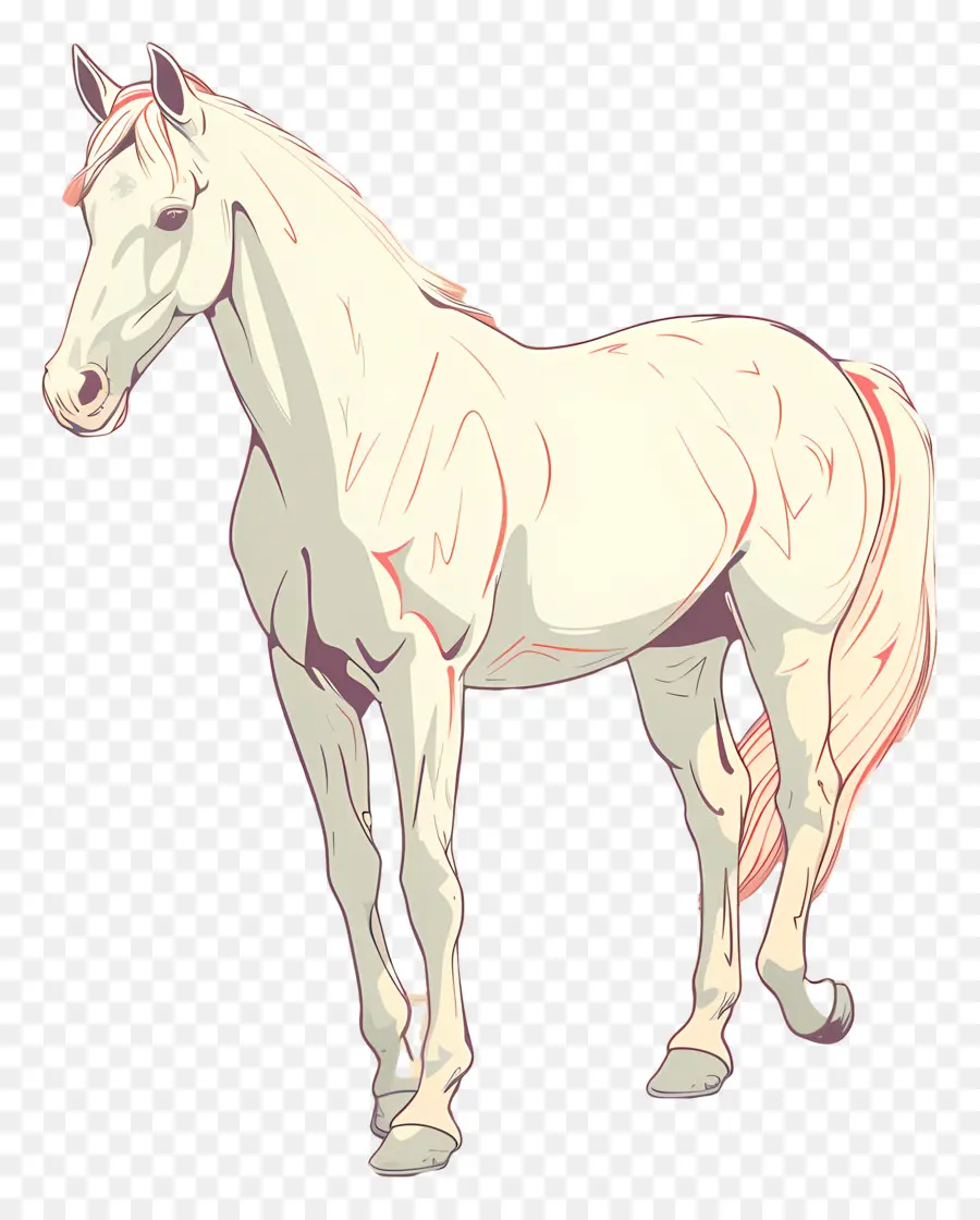 horse white horse standing hind legs mane