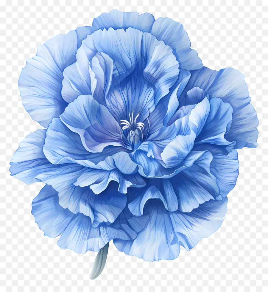 Blaue Blume - Realistische blaue Blume mit weißen Streifen
