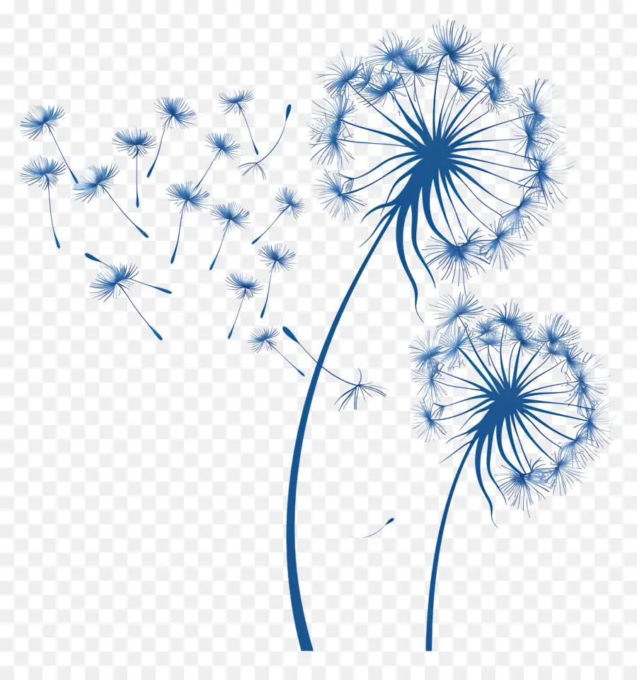 dandelion dandelion black and white flowers seeds