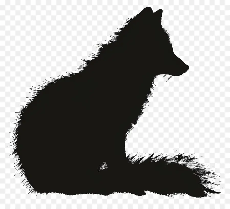 Arktische Fuchs -Silhouette -Fuchs -Silhouette -Hinterbeine Schwanz - Silhouette des unterwürfigen Fuchs sitzt leise