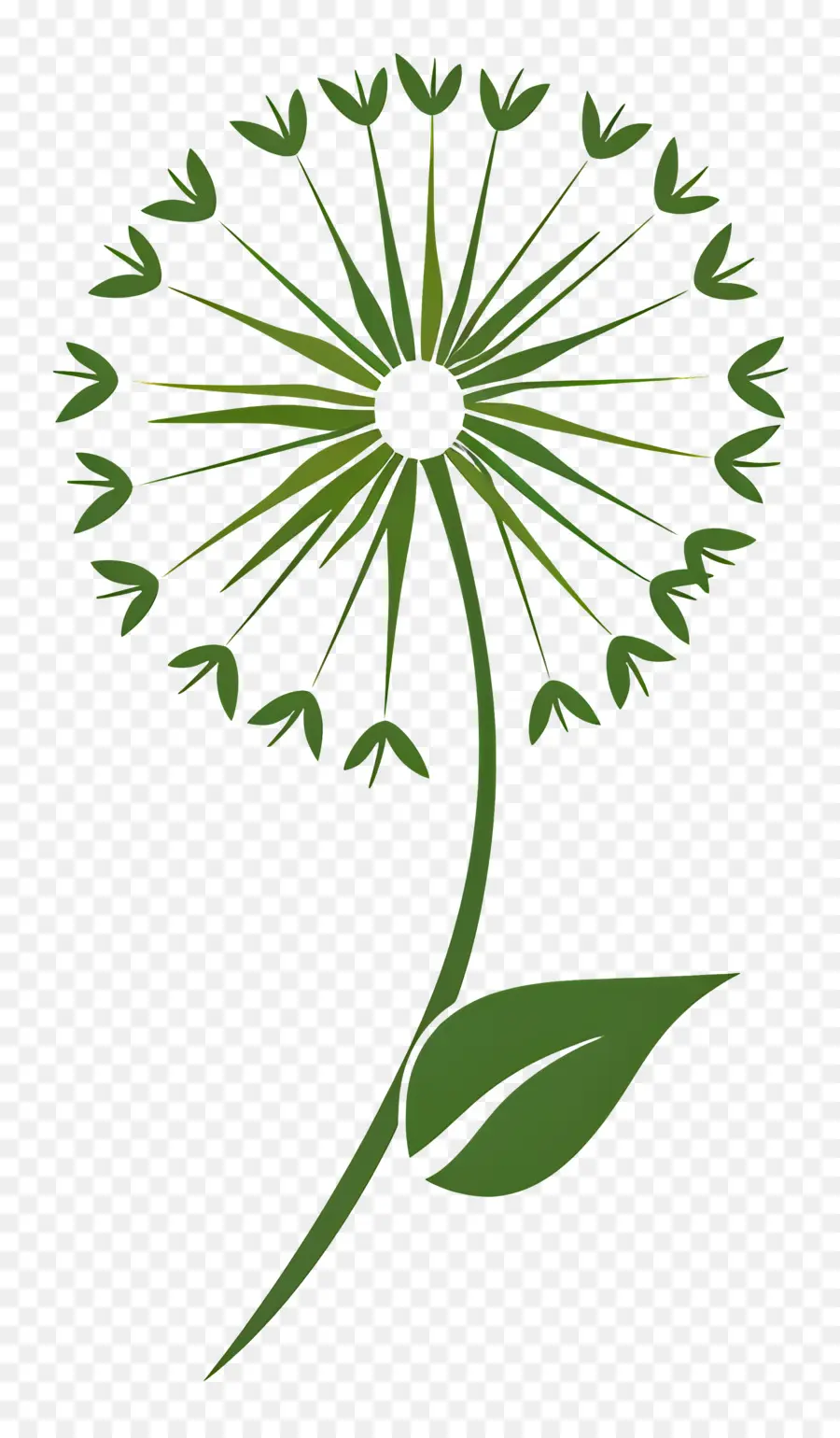Löwenzahn Löwenzahnblume weiße Blütenblätter grüne Blätter - Einfache Illustration der Löwenzahnblume mit Blättern