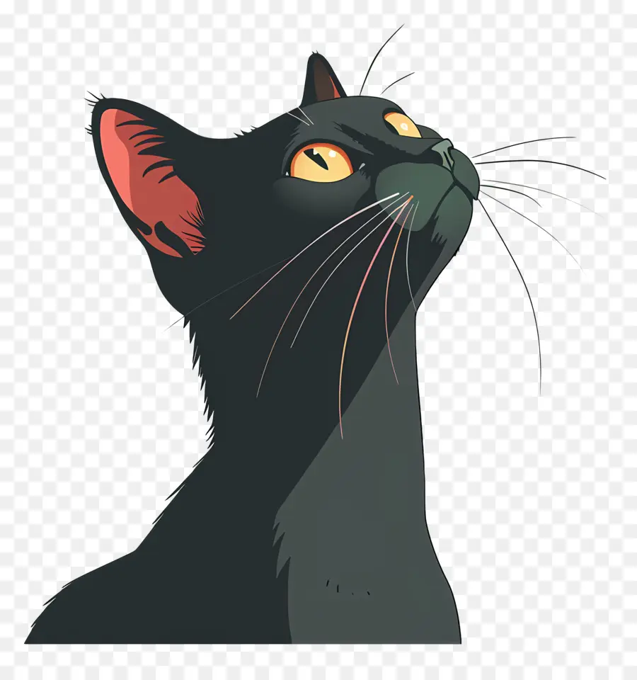black cat black cat yellow eyes shiny fur perked ears