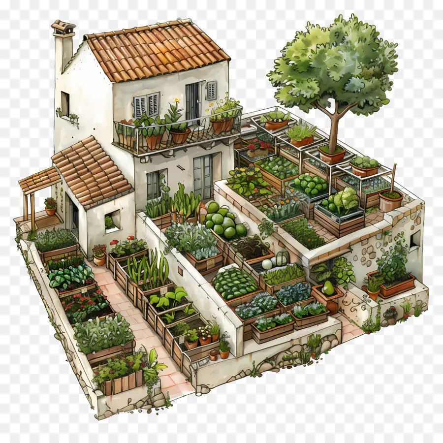 Terrasse Landwirtschaft kleiner Gartenzaunpflanzen Gartentor - Kleiner Garten mit verschiedenen Pflanzen, Haus