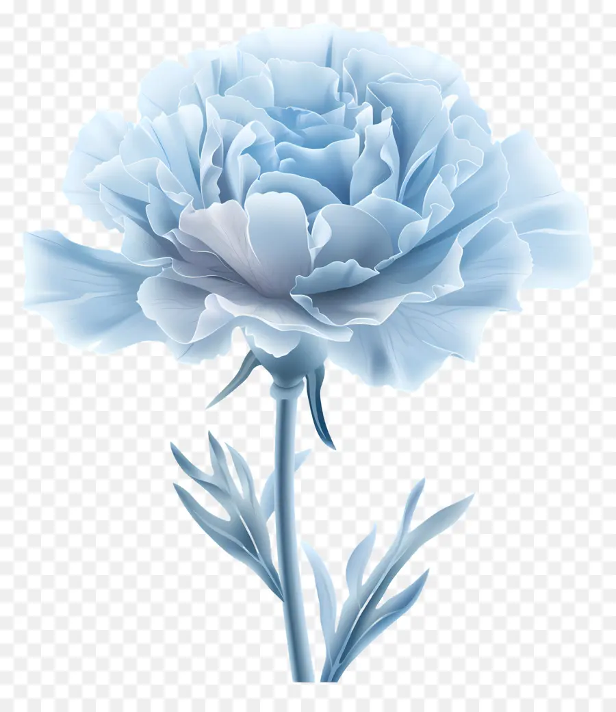cánh hoa - Carnation màu xanh với nhị hoa và tĩnh mạch có thể nhìn thấy