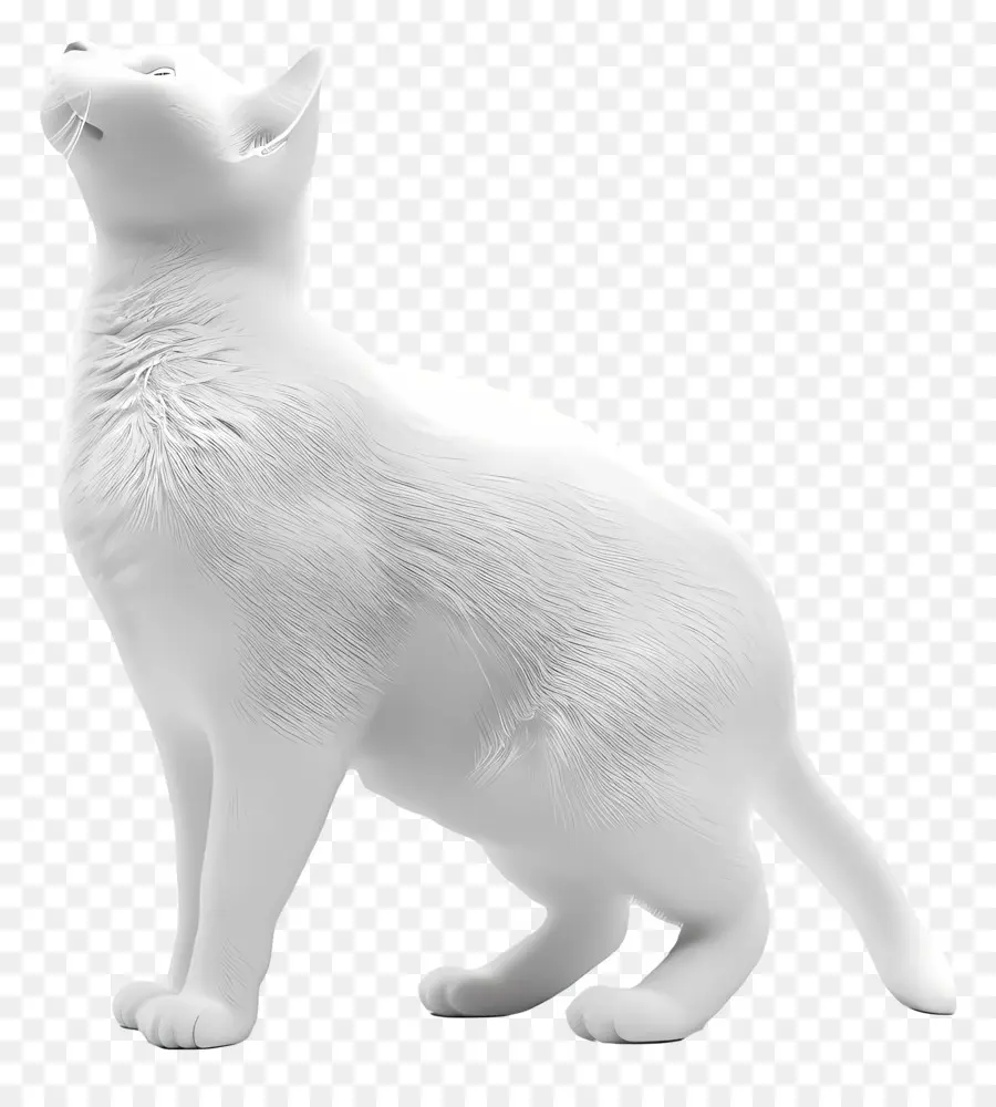 Vista laterale del gatto in piedi gatto bianco in piedi sulle zampe posteriori curiosi gatti che guarda in alto - Curioso gatto bianco in posa animata