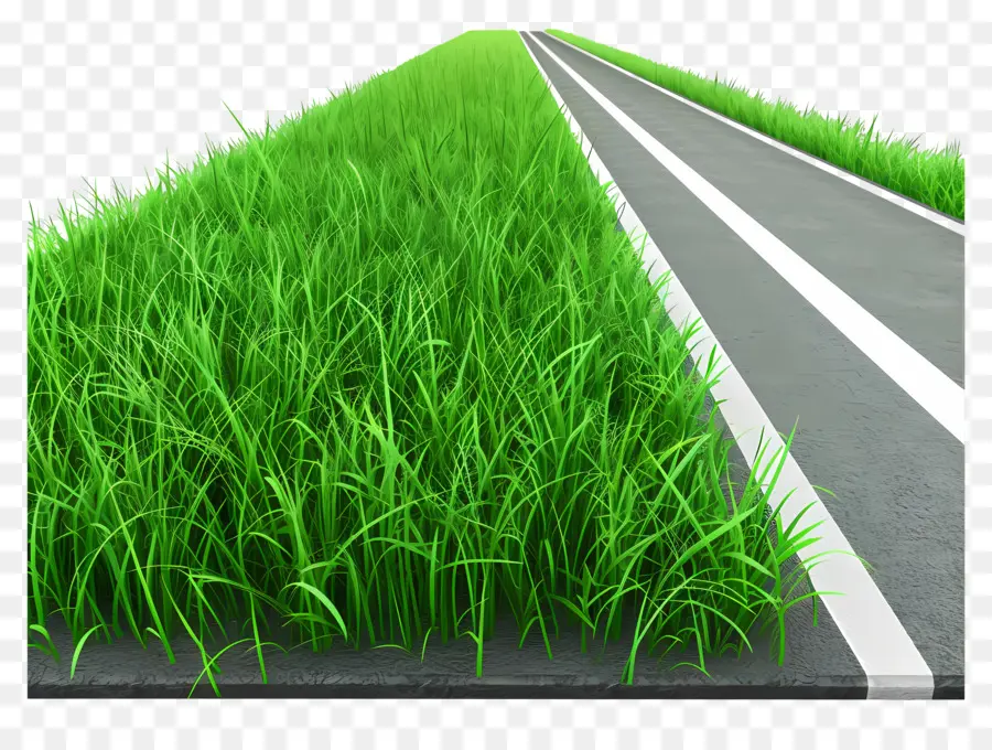 road side view road green grass car empty road