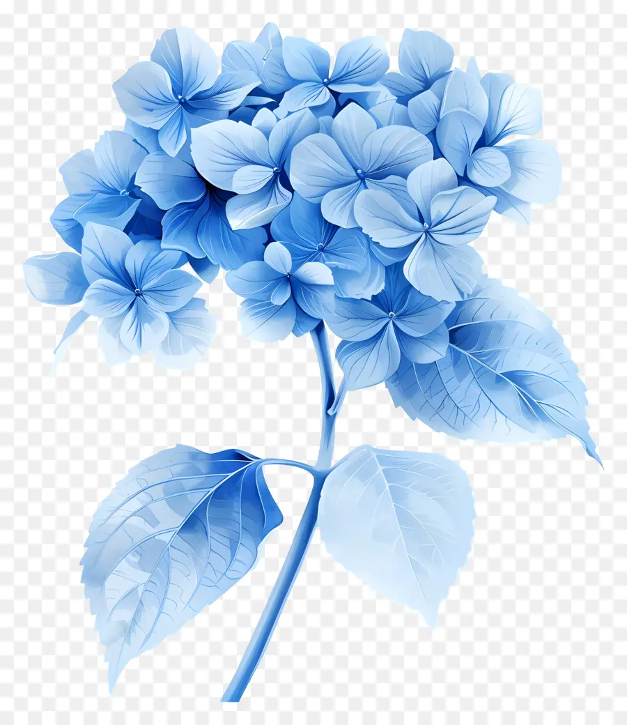 fiore blu - Fiore blu con petali chiusi su sfondo nero