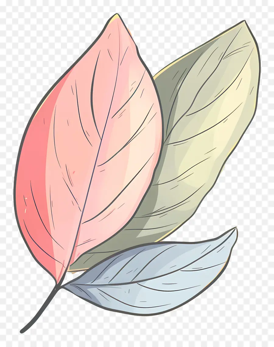 leaf leaves paper texture brown