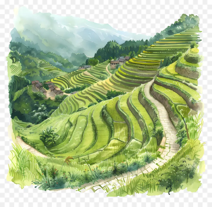 Terratte di riso paesaggistica rurale campi a schiera a terrazze ad acquerello dipinto di bellezza naturale - Paesaggio rurale con dolci colline e montagne