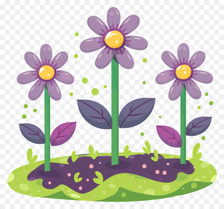 Hoa trồng hoa lá cỏ màu tím - Cánh đồng hoa với tán lá xanh