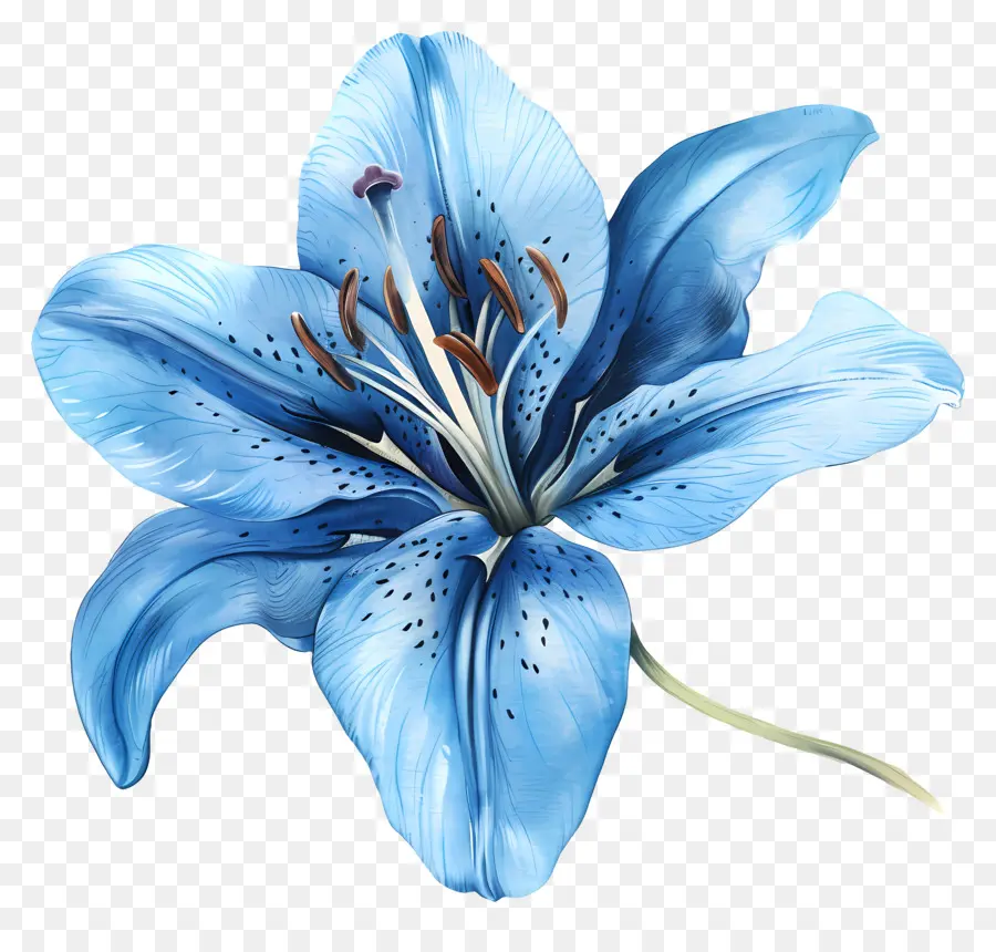 Lilie Blume - Blaue Aquarelllilie mit ruhiger Schönheit