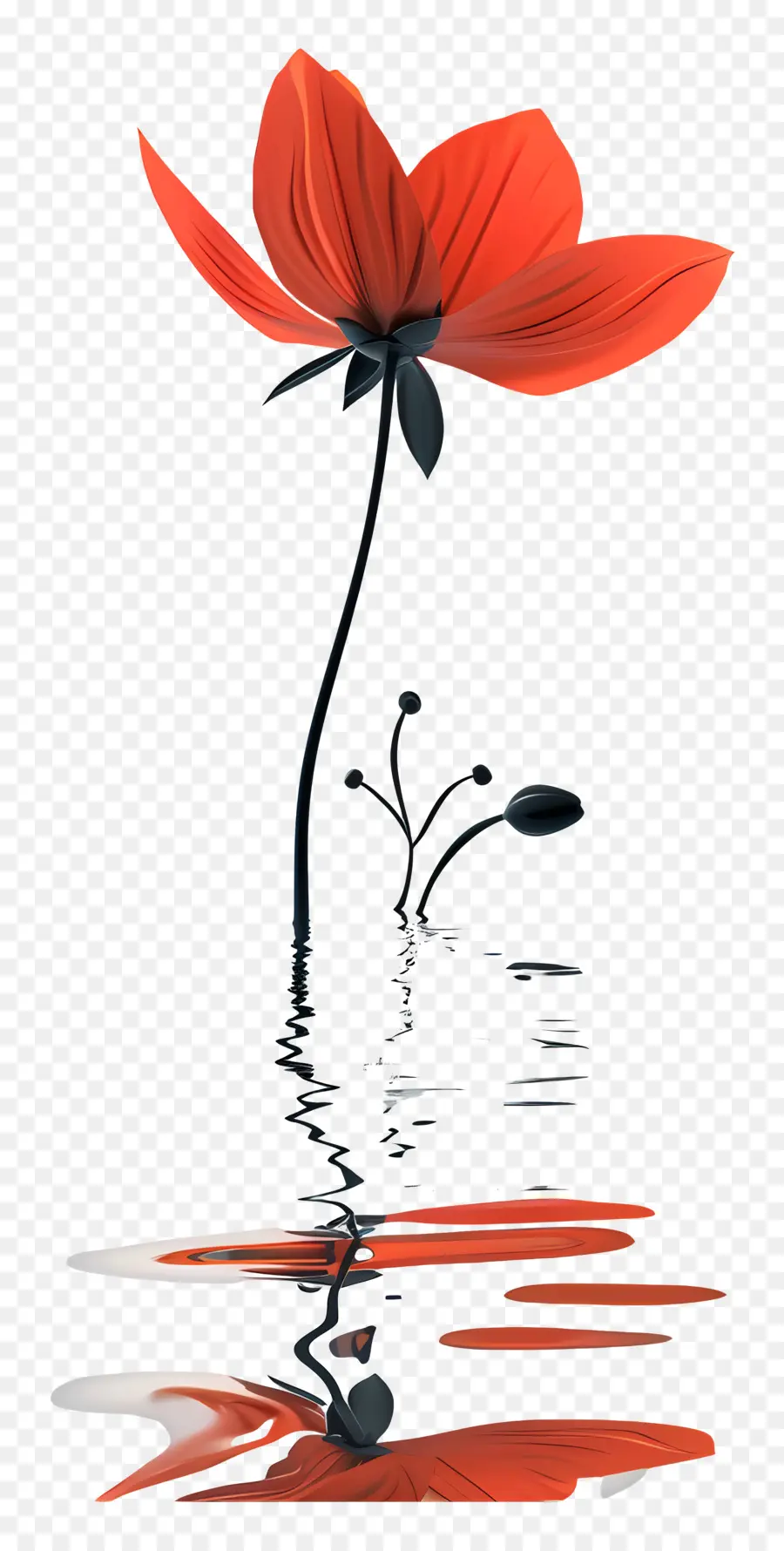 rote Blume - Rote Blume mit schwarzen Flecken auf Wasser